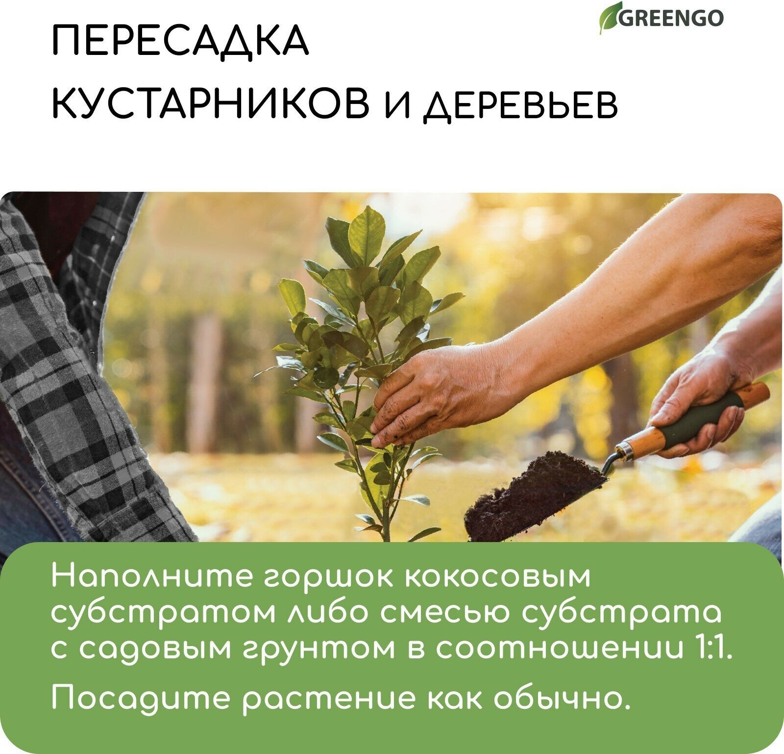 Субстрат кокосовый в брикете 5 л кокосовые чипсы универсальный Greengo