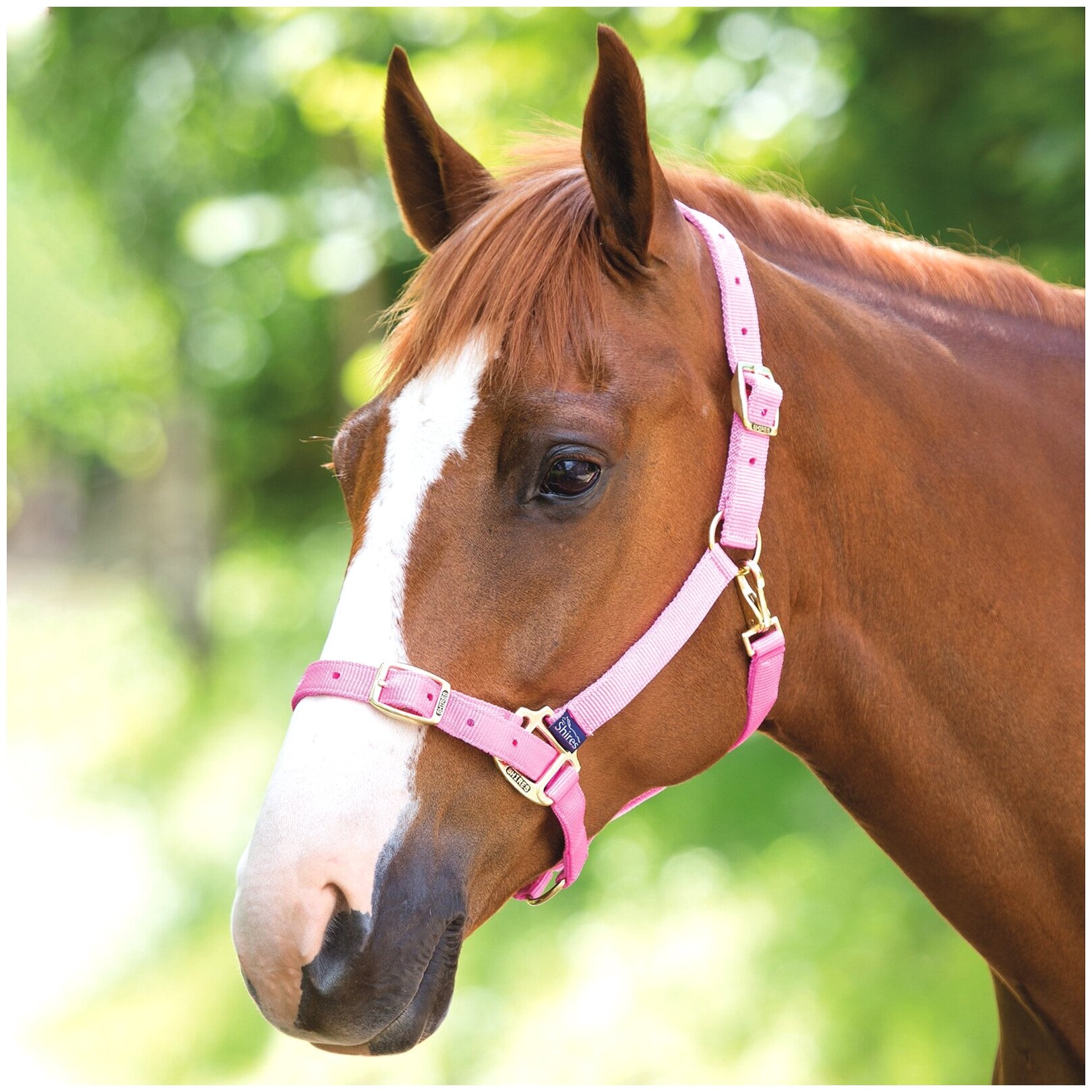 Недоуздок для лошади регулируемый SHIRES, COB, розовый (Великобритания)