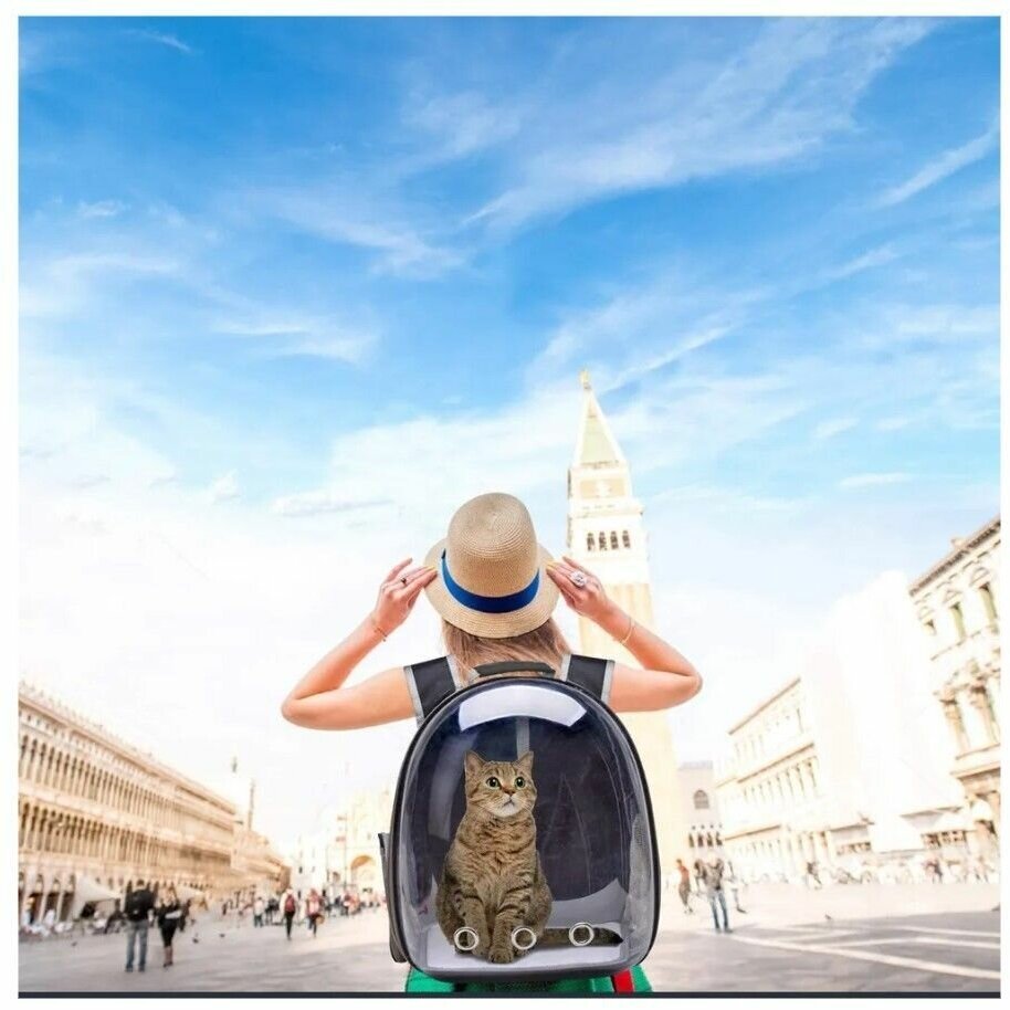 Рюкзак переноска для собак и кошек с иллюминатором / Ранец для животных с панорамным видом Morento черный - фотография № 5