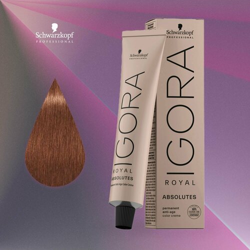 Schwarzkopf Professional IGORA ABSOLUTES 7-560 Средний русый золотистый шоколадный натуральный 60мл. SKP NEW