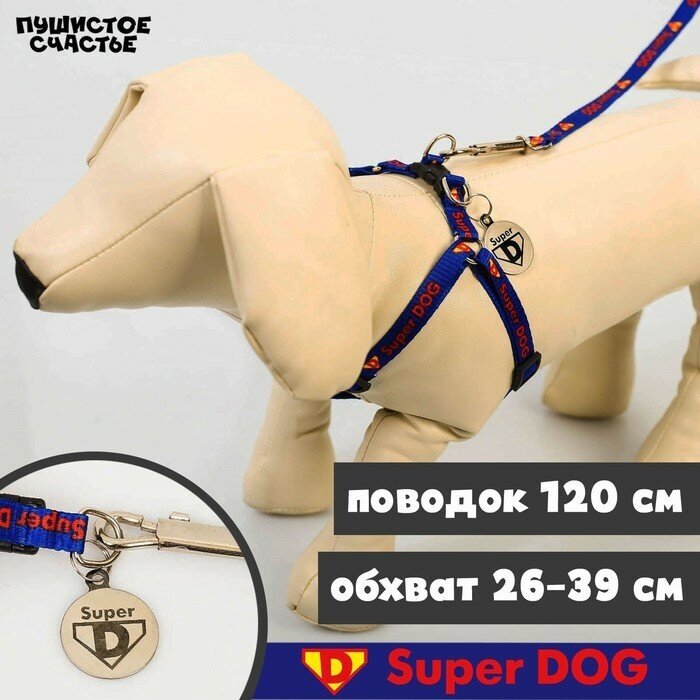 Комплект Super DOG, шлейка 26-39 см, поводок 120х1 см, медальон (1шт.)