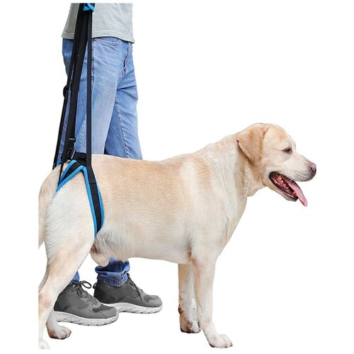 Шлейка ходунки для собак поддержка задняя ортопедическая помощь для больных собак M ходунки для собак задняя часть размер m