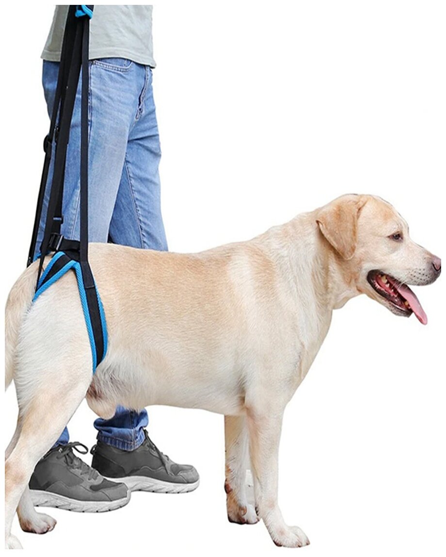 Шлейка ходунки для собак поддержка задняя ортопедическая помощь для больных собак XL