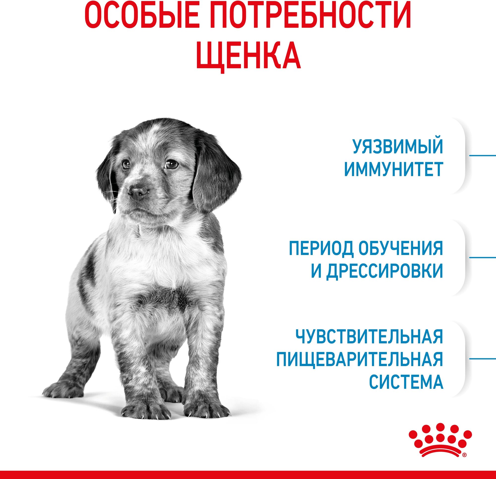 Корм для щенков ROYAL CANIN - фото №4