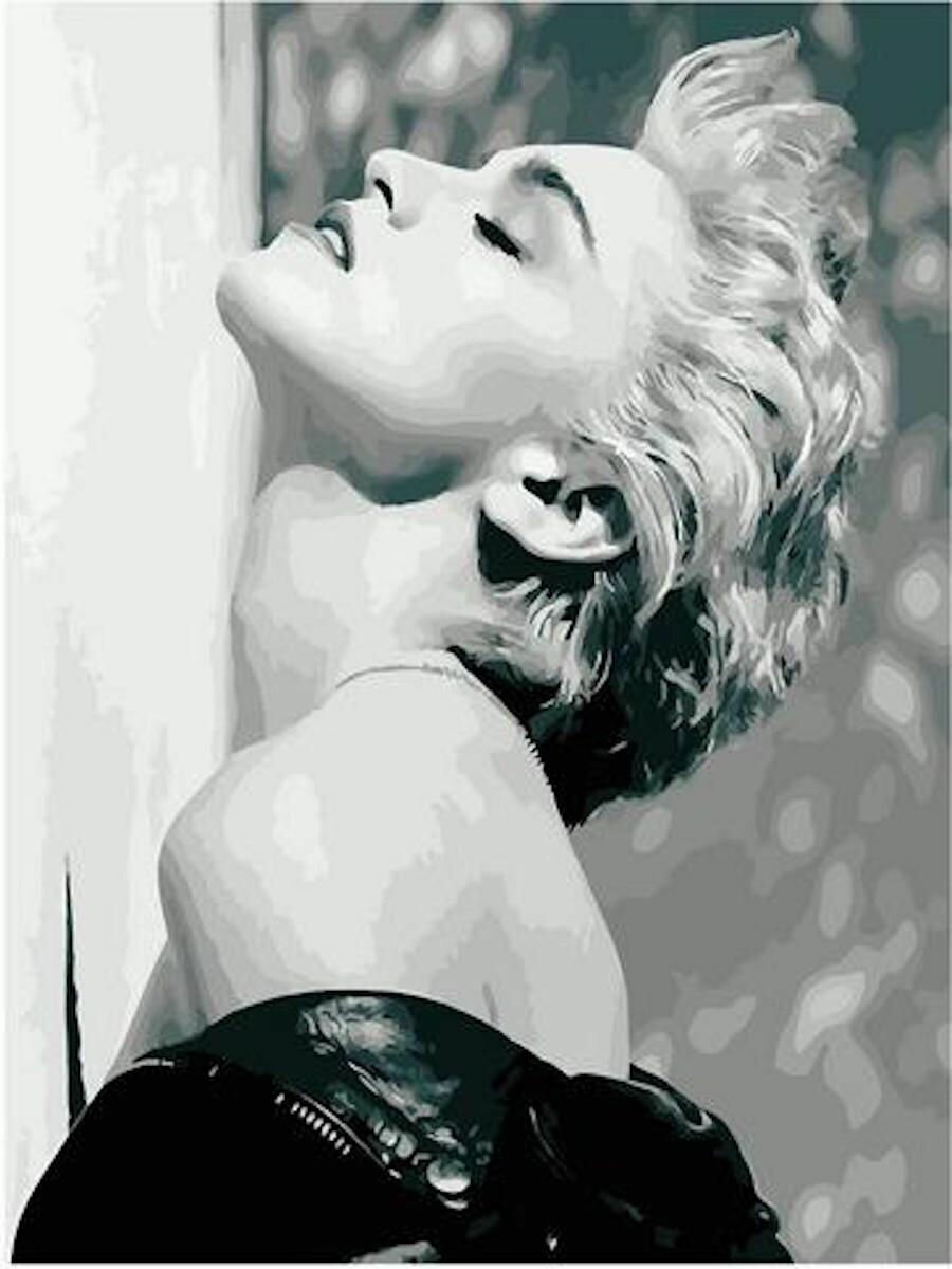 Картина по номерам Мадонна 40х50 см АртТойс