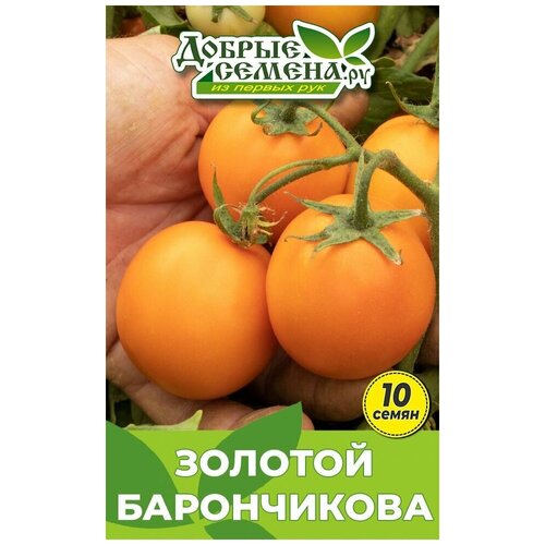 Семена томата Золотой Барончикова - 10 шт - Добрые Семена. ру