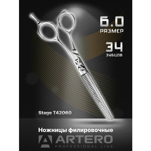 ARTERO Professional   Stage T42060 , 34  6, 0