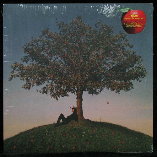 Виниловая пластинка Method Slowthai Tyron 4276₽