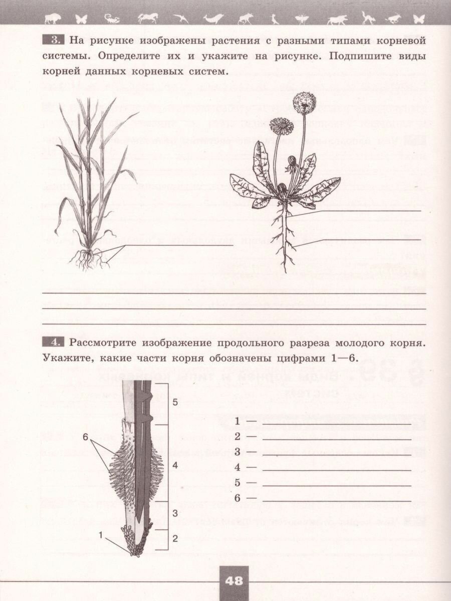 Биология. 6 класс. Рабочая тетрадь - фото №3