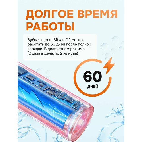 Электрическая зубная щетка Bitvae D2 Toothbrush + Case+8 Heads (D2 + Case + 8 Heads) , GLOBAL, White