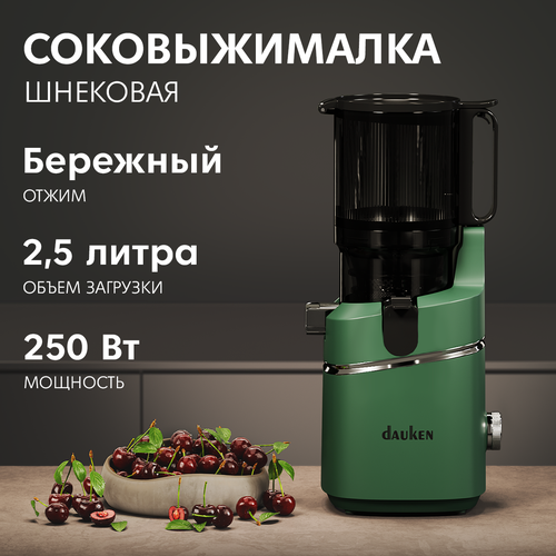 Соковыжималка Dauken DSJ480 электрическая шнековая 2046200₽