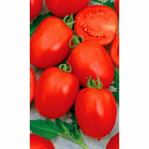 Семена Томат Талисман (УД) Е/П