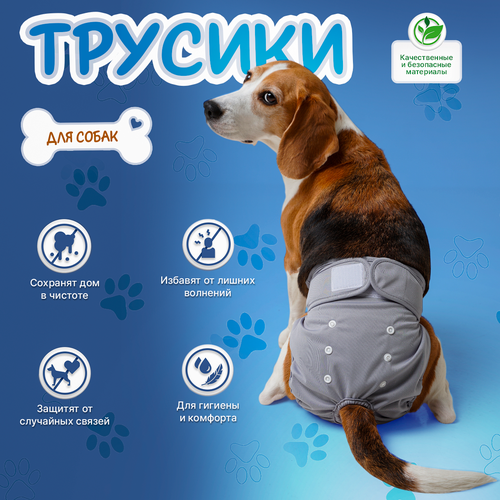 Трусы для собаки во время течки многоразовые L, подгузники для собак миниатюрных пород впитывающие