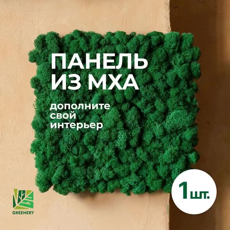 Панель из мха самоклеящаяся для декора и украшения комнаты 25х25см — фото 1