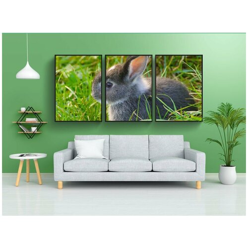 фото Набор модулных постеров для интерьера "кролики, племенное животное, уши" 60x90 см. в тубусе, без рамки lotsprints