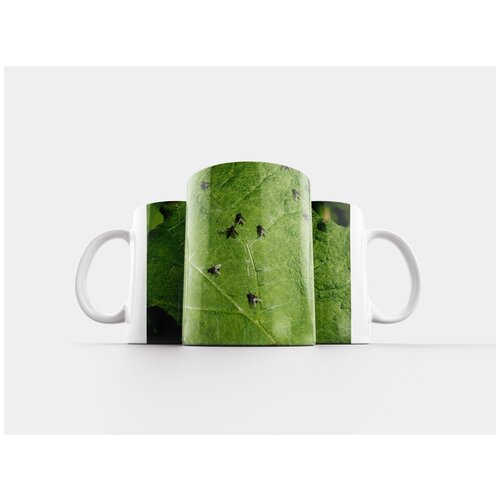 фото Кружка "летать, насекомые, лист" 320 мл lotsprints
