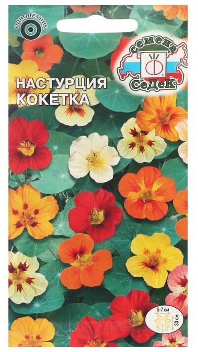 Настурция Кокетка смесь СеДек - фото №2