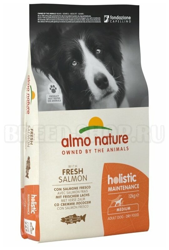 Сухой корм ALMO NATURE для Взрослых собак с Лососем Holistic, 12 кг