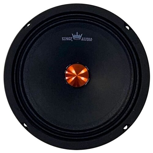 Акустика среднечастотная Kingz Audio TUCO-64 2 динамика 165см 359000₽