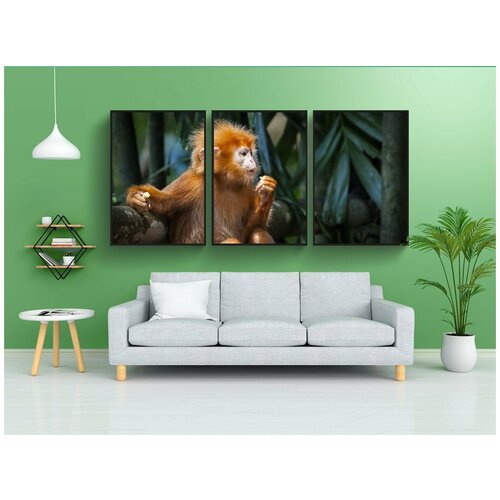 фото Набор модулных постеров для интерьера "обезьяна, красный, приматов" 60x90 см. в тубусе, без рамки lotsprints