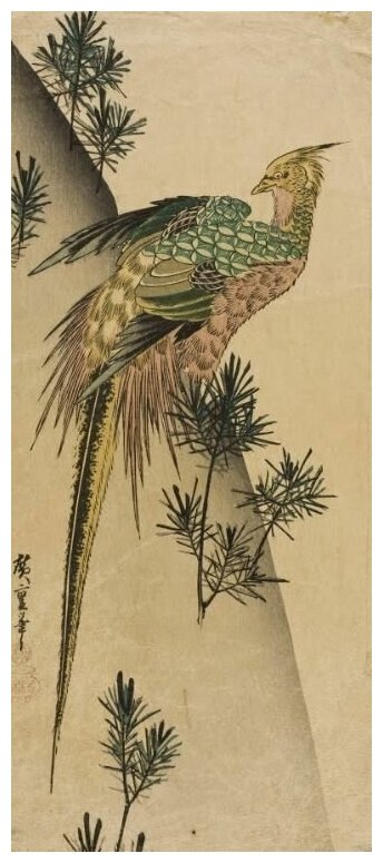 Репродукция на холсте Фазан над сосновым лесом (1832-1834) (Pheasant on Pine-covered Cliff) Утагава Хиросигэ 30см. x 70см.