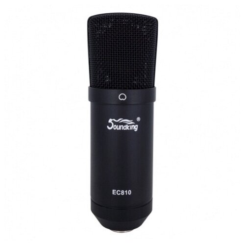 Микрофон конденсаторный SOUNDKING EC810
