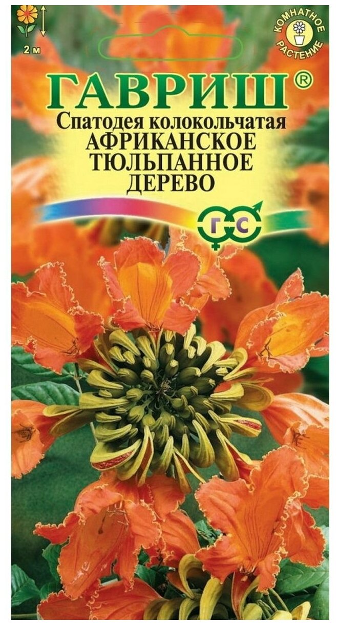 Семена Гавриш Спатодея Африканское тюльпанное дерево 005 г