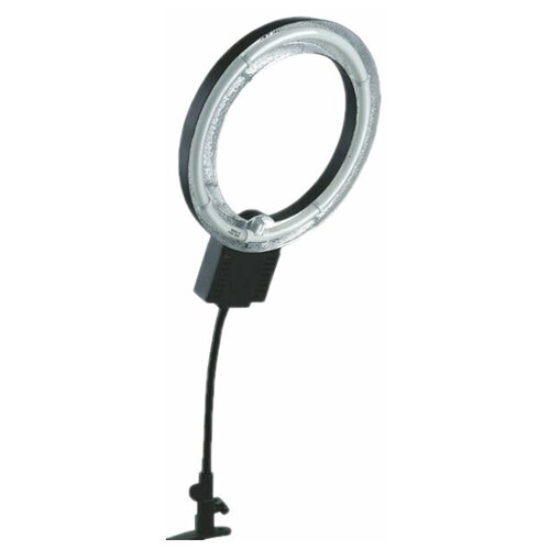 Студийный свет Falcon Eyes FLC-22 251800₽