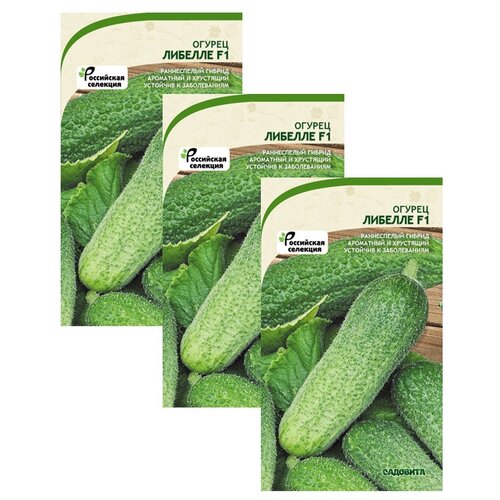 Семена Огурец Либелле 10шт Садовита (3 пакета) семена салат фанли 10шт садовита 3 пакета