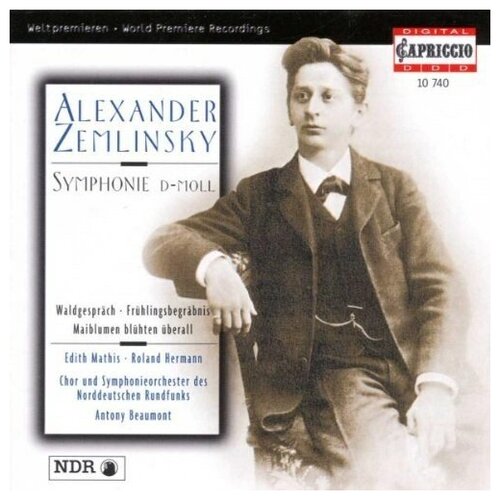 A. Zemlinsky: Symphonie d-moll - 'fr & 252; hlingsbegr & 228; bnis