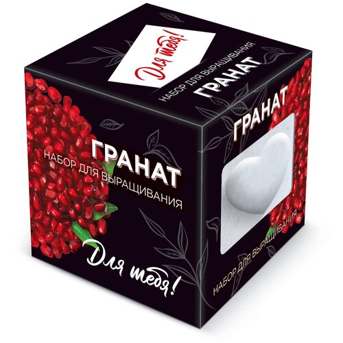Растение ЭкоДом Для тебя! Гранат 1061843810347