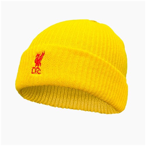 фото Шапка nike lfc fisherman beanie dm8913-703 sr
