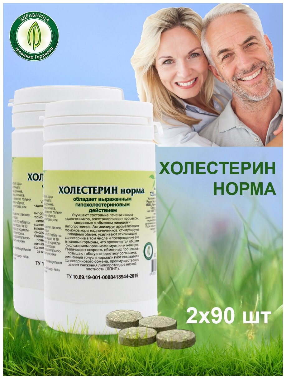 Гордеев / Растительный сбор "Холестерин норма" 2 банки (по 90 таблеток)