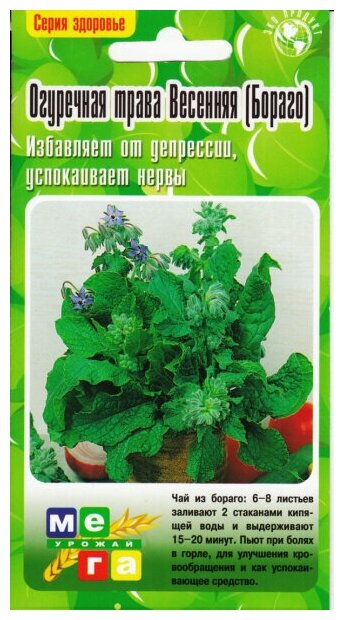 Огуречная трава Ручеек, 25 семян