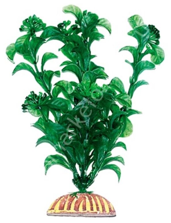 Растение пластик тритон 19см (1979) Китай 1 шт - фотография № 2