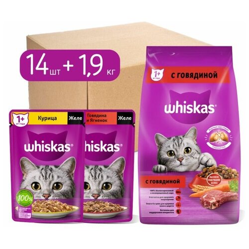 Whiskas Набор кормов для кошек WHISKAS, сухой и влажный рационы, два вкуса, желе, 2.95 кг