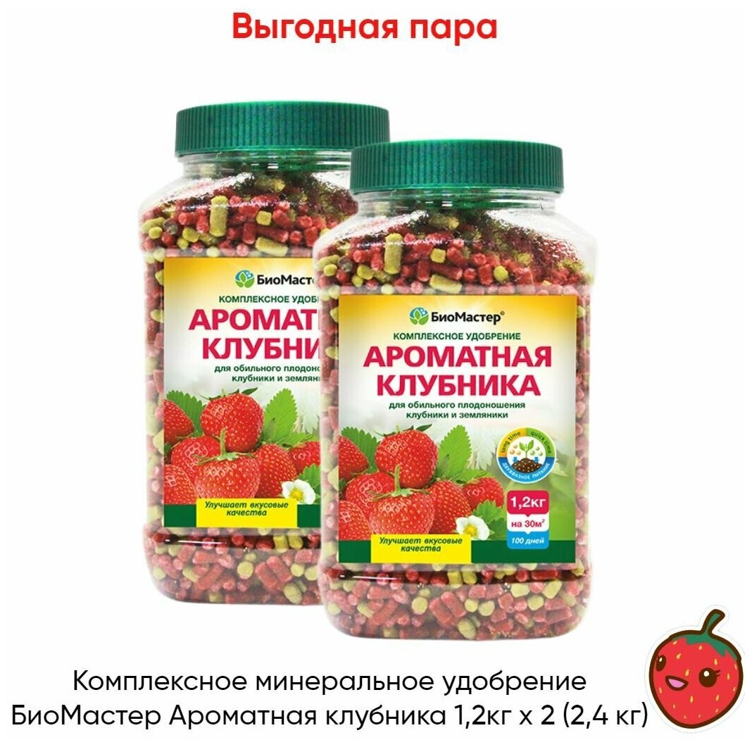 Комплексное минеральное удобрение БиоМастер Ароматная клубника 1,2кг x 2 (2,4 кг)