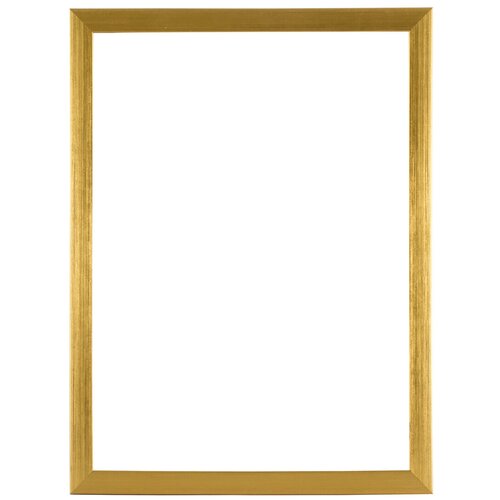 Рама для картин багетная 30x40см FE-100-20