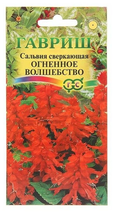 Семена цветов Сальвия "Огненное волшебство", О, 0,05 г