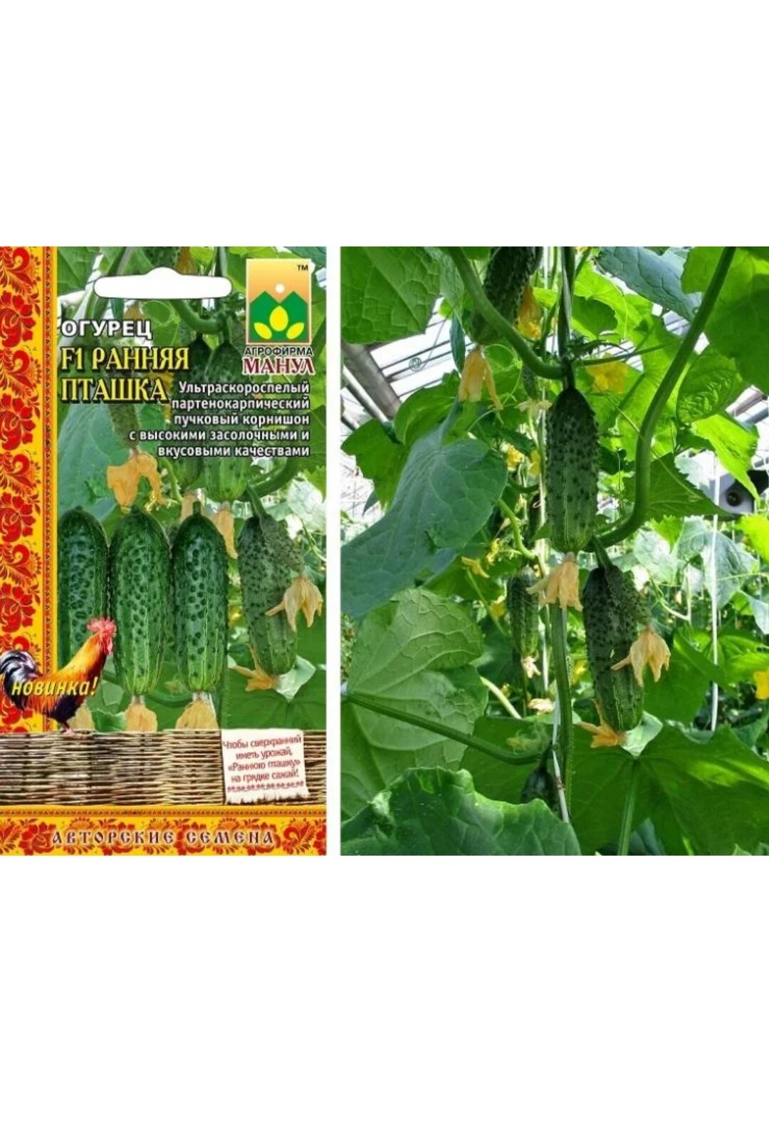 Огурец ультраскороспелый Ранняя пташка F1 10шт*2пакета=20штсемян