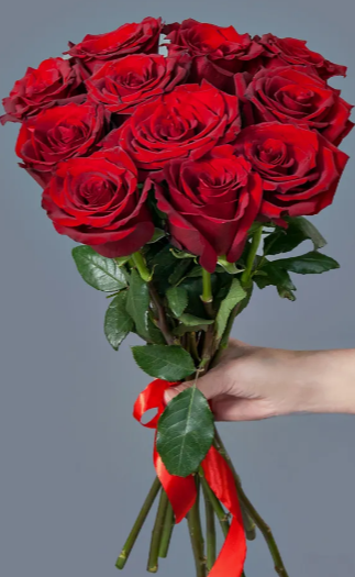 Роза Эксплорер 60см 11 шт