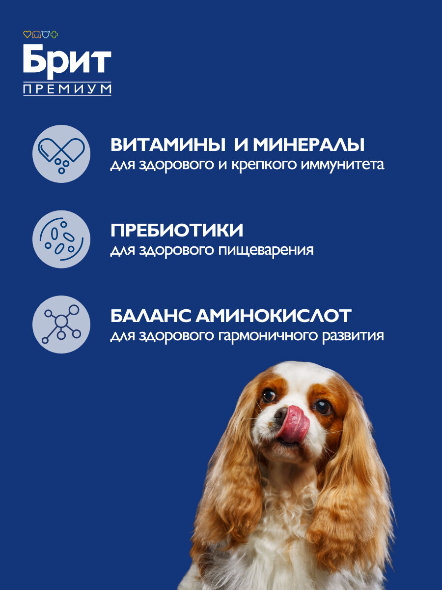 Сухой корм для взрослых собак Brit Premium, курица 1 уп. х 3 кг для мелких и карликовых пород — фото 1