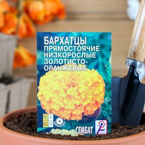 Семена цветов Бархатцы прямостоячий низкорослый золотисто-оранжевый 0,1 г 10 упаковок