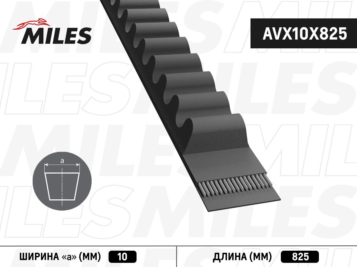 Ремень клиновый MILES AVX10X825