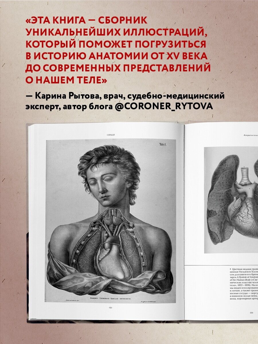 Анатомика. От ужасного до великого: человеческое тело в искусстве - фото №3
