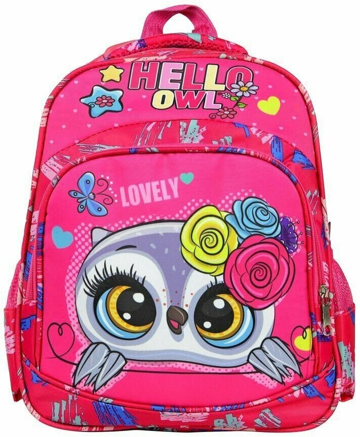 Школьный ранец, рюкзак для девочки Сова с ортопедической спинкой Hello Owl