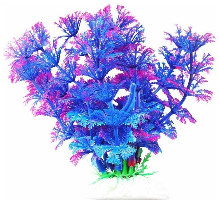 Уют ВК214 Растение Амбулия сине-фиолетовая 11см (1 шт) - фотография № 1