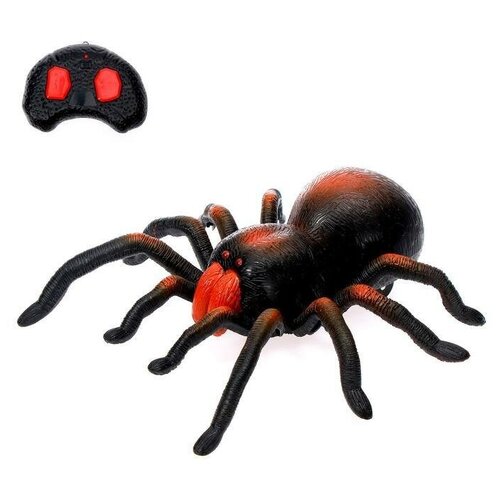 Паук радиоуправляемый Тарантул, работает от батареек паук радиоуправляемый тарантул работает от батареек