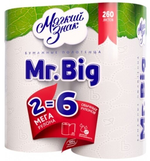 Полотенца бумажные Мягкий Знак Mr.Big 2 слоя, 2 рулона