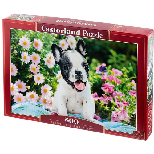 Castorland French Bulldog Puppy, B-53650, 500 дет., 22.5х32.5х5 см, разноцветный
